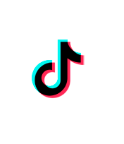 TikTok Ads